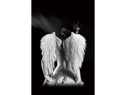 ANGEL80 OBRAZ-ANGEL-80X120.JPG
