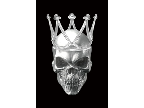 SKULLII80 OBRAZ-SKULL-II-80X120.JPG