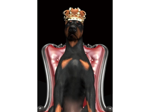 DOGINCROWN80 OBRAZ-DOG-IN-CROWN-80X120.JPG