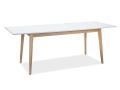 CESARBD120 STOL-CESAR-BIALY-MAT-DAB-120(165)X68.jpg