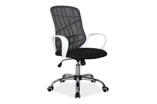 Dexter black +white.jpg