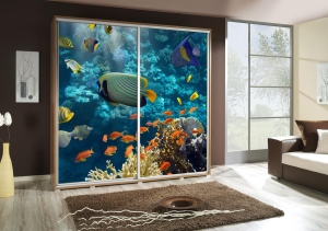 M – Szafa 205 AKWARIUM 1